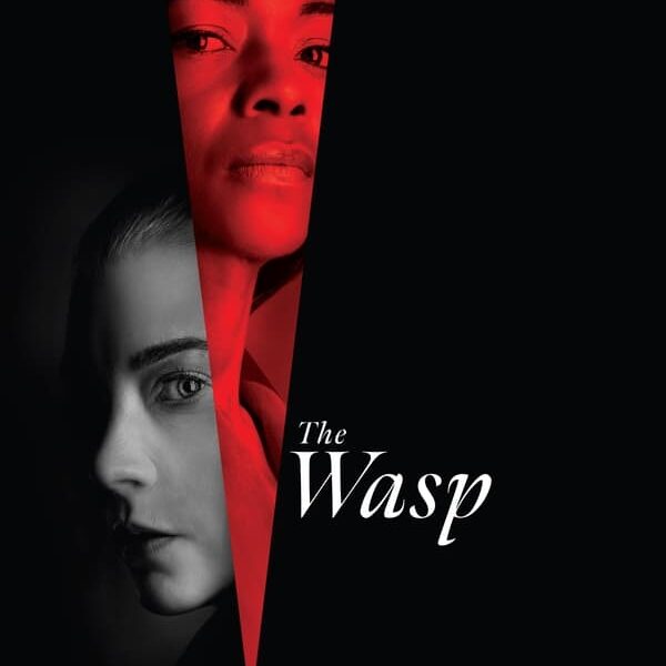 Je viens de terminer The Wasp, un thriller qui m’a surpris par la tournure des événements.