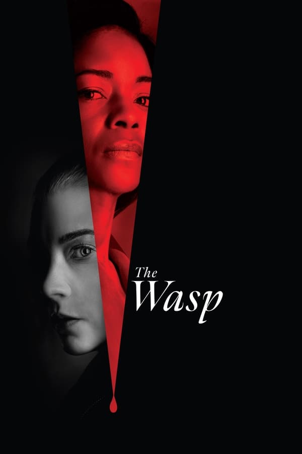 Je viens de terminer The Wasp, un thriller qui m’a surpris par la tournure des événements.